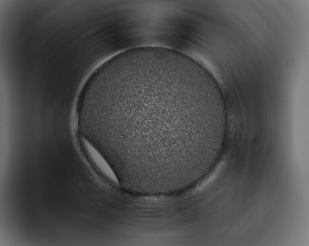 X0000093121125200710031329