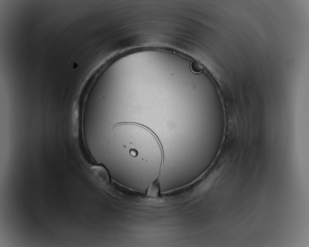 X0000093121126200710031329
