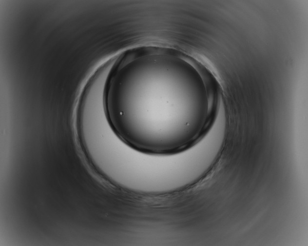 X0000093121128200710031329
