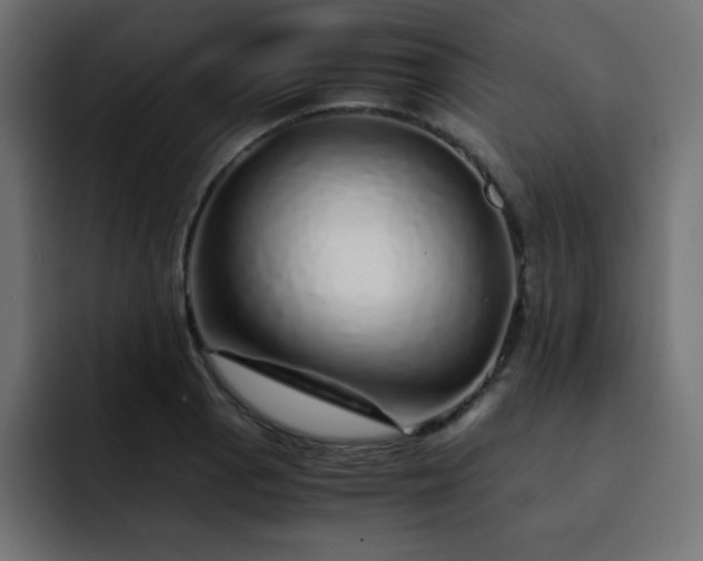 X0000093121129200710031329