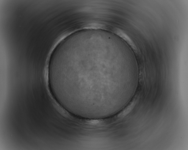 X0000093121130200710031329