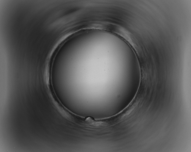 X0000093121131200710031329