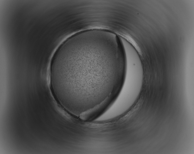 X0000093121132200710031329