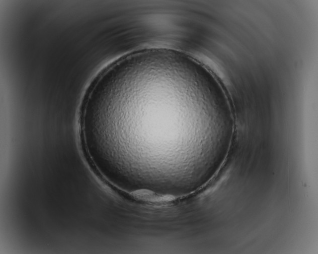 X0000093121133200710031329