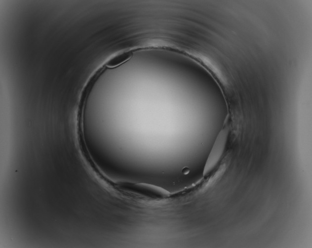 X0000093121134200710031329