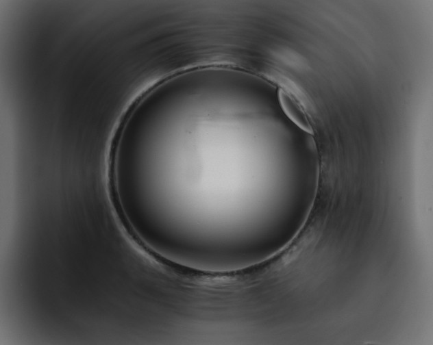 X0000093121135200710031329