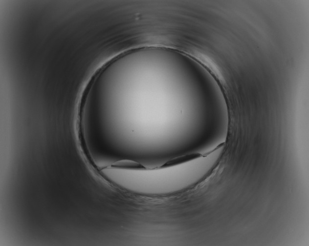 X0000093121136200710031329
