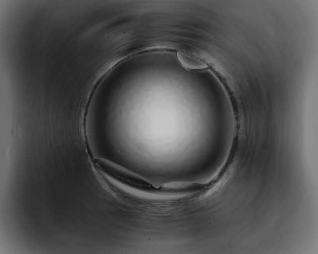 X0000093121137200710031329