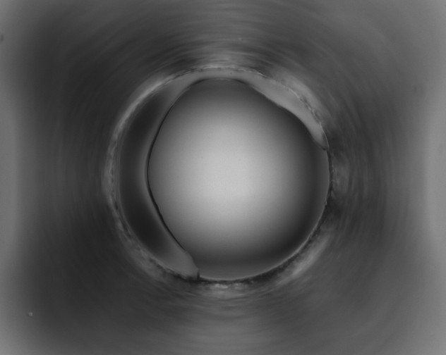 X0000093121138200710031329