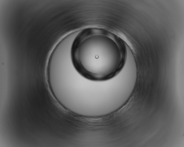 X0000093121140200710031329