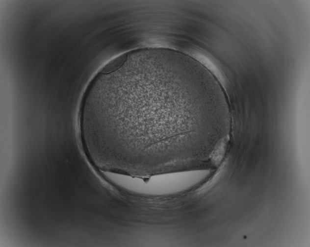 X0000093121141200710031329