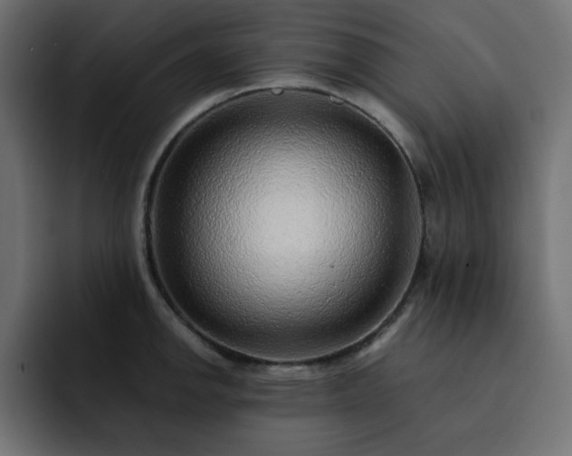 X0000093121142200710031329