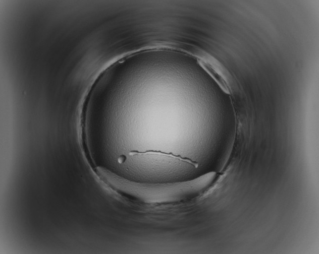 X0000093121143200710031329