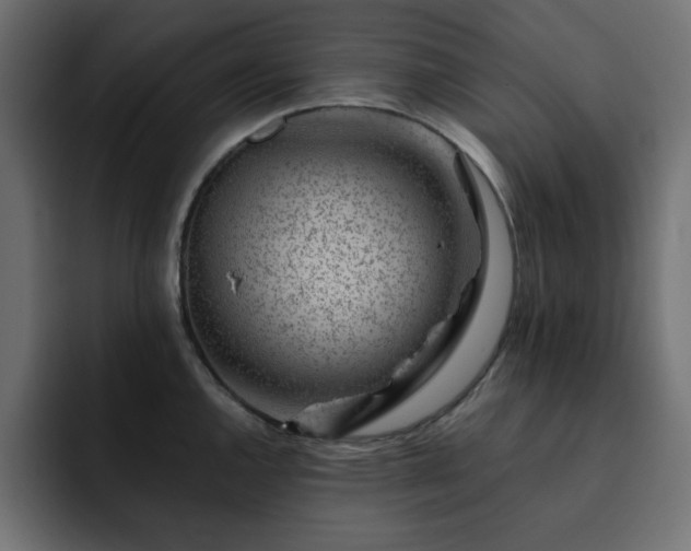 X0000093121144200710031329