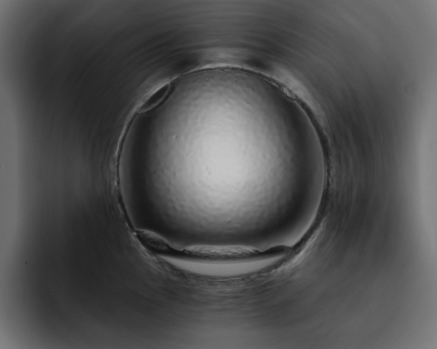 X0000093121145200710031329
