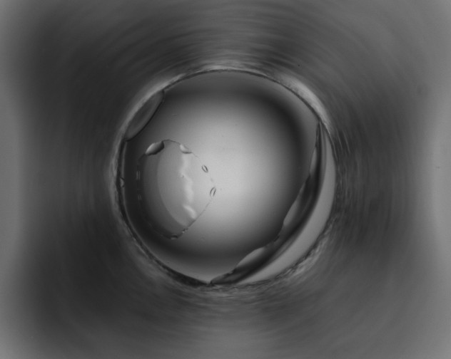 X0000093121146200710031329