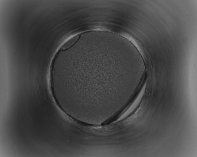 X0000093121147200710031329