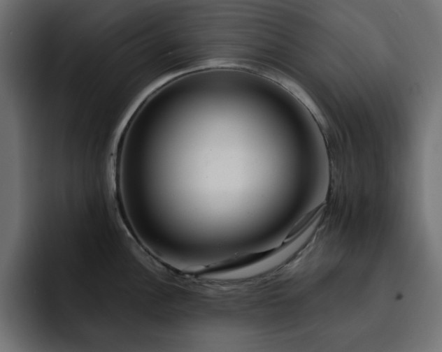 X0000093121148200710031329