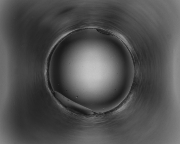 X0000093121149200710031329