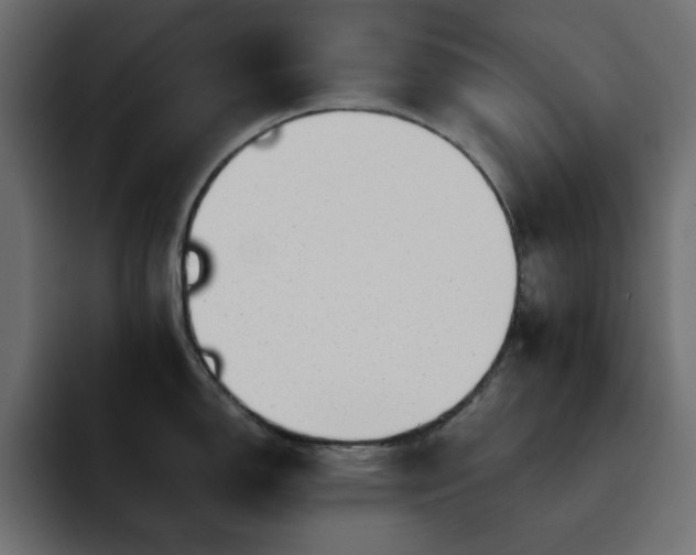 X0000093121150200710031329