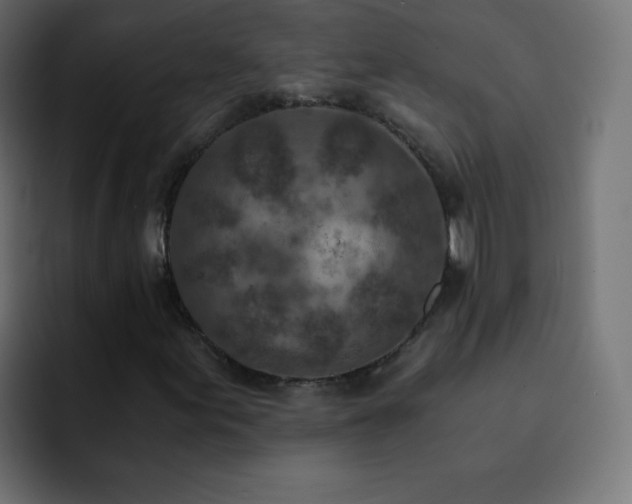 X0000093121155200710031329
