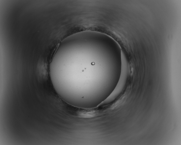 X0000093121156200710031329