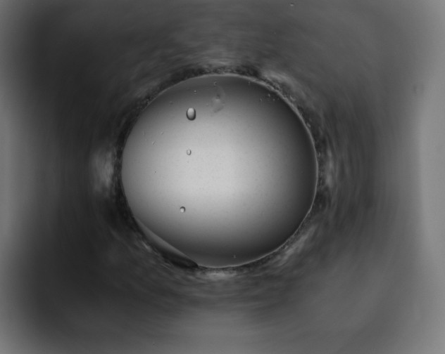 X0000093121157200710031329