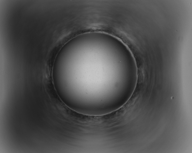 X0000093121158200710031329