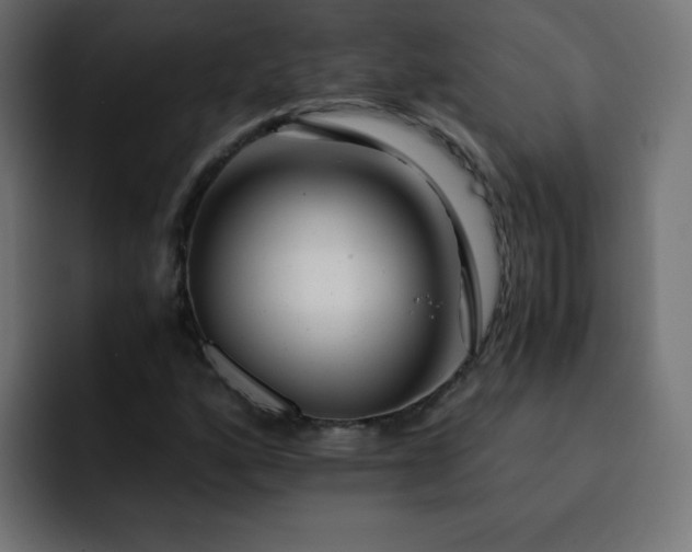 X0000093121160200710031329