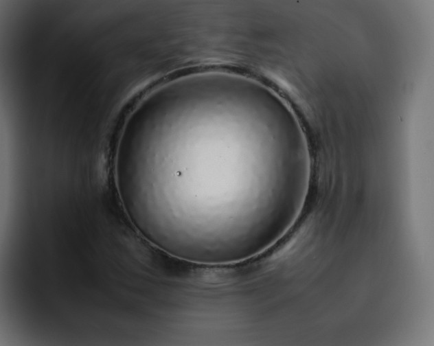 X0000093121163200710031329
