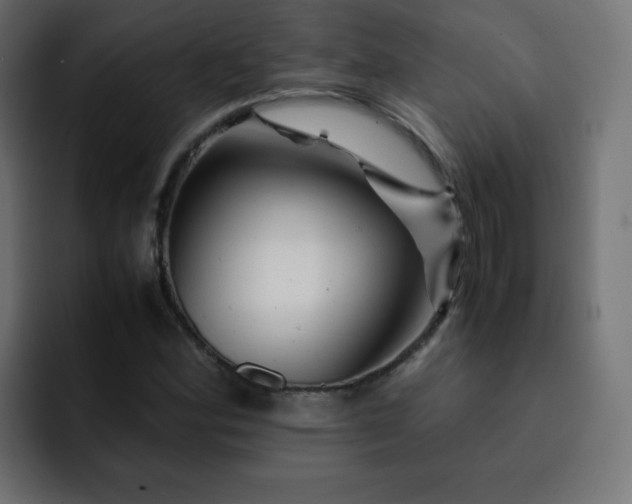 X0000093121164200710031329