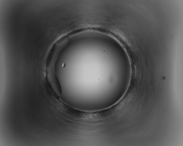 X0000093121165200710031329