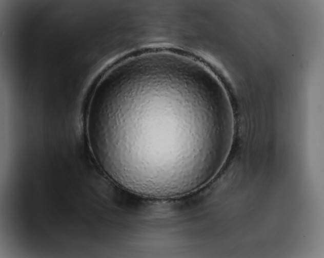 X0000093121167200710031329