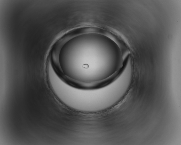 X0000093121168200710031329