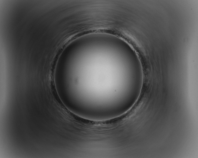 X0000093121169200710031329
