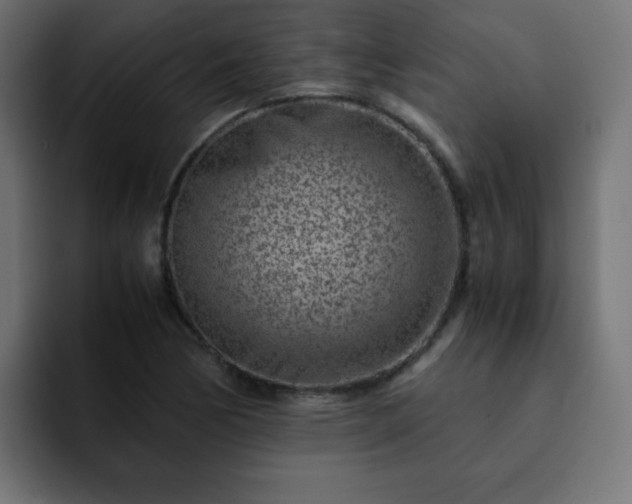 X0000093121170200710031329