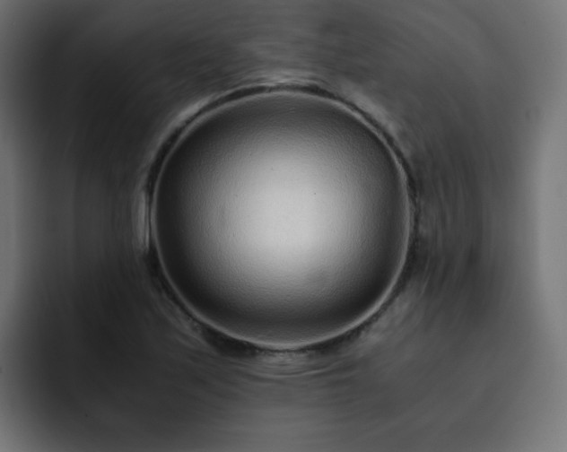 X0000093121171200710031328