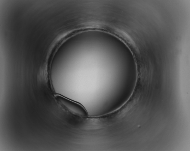 X0000093121172200710031328
