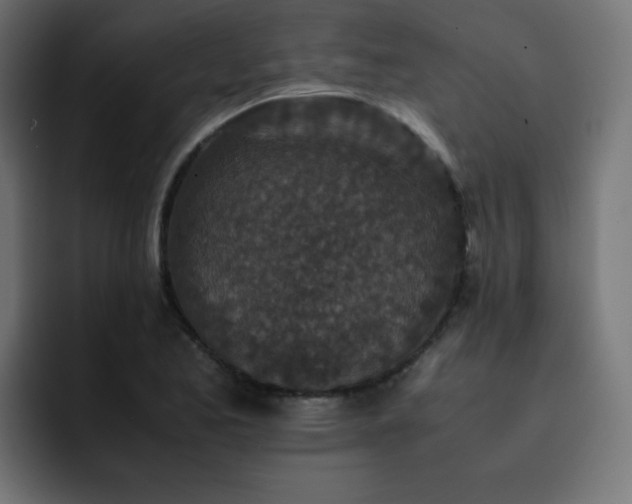 X0000093121173200710031328