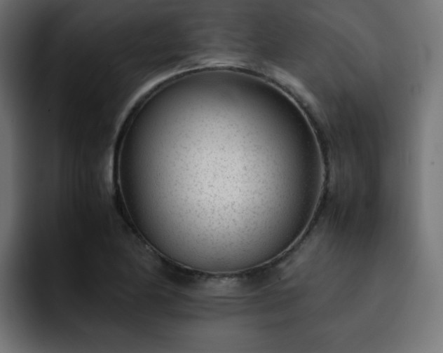 X0000093121174200710031328