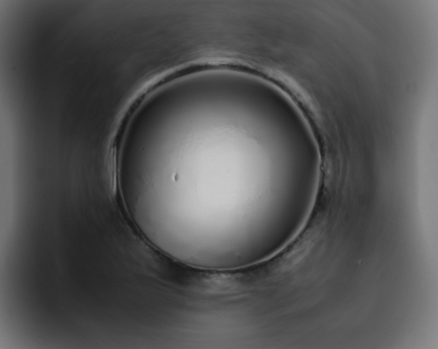 X0000093121175200710031328