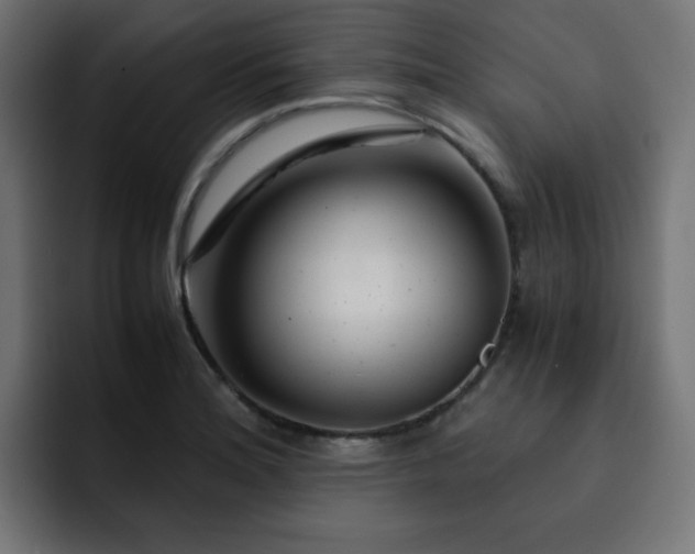 X0000093121180200710031328