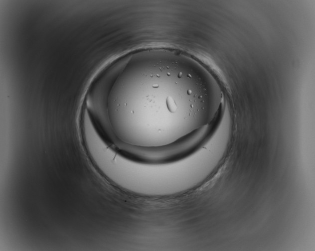 X0000093121181200710031328