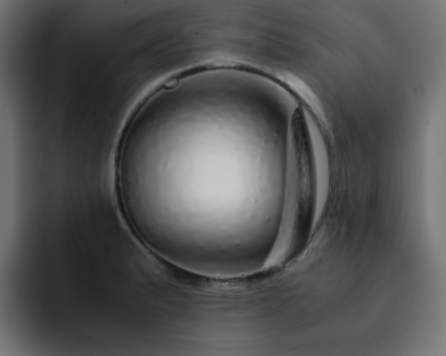 X0000093121183200710031328