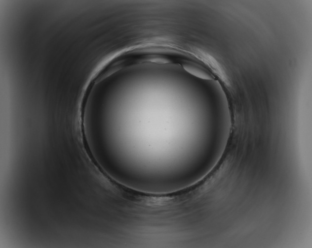 X0000093121184200710031328
