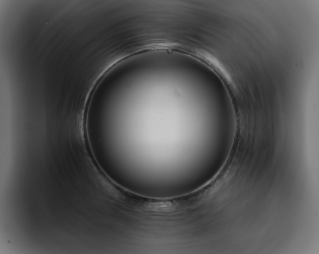 X0000093121186200710031328