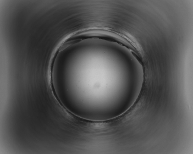 X0000093121188200710031328