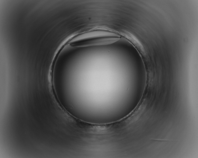 X0000093121190200710031328