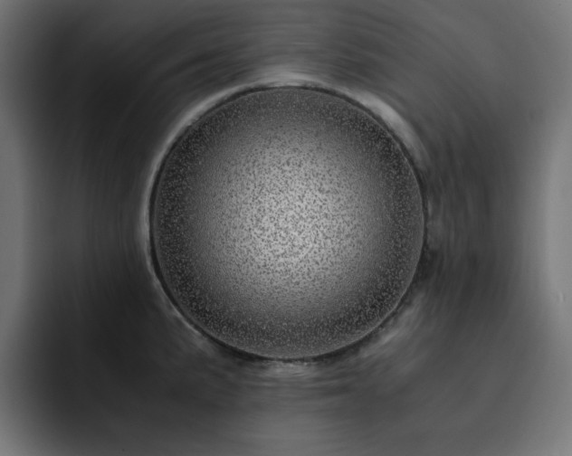X0000093121191200710031328