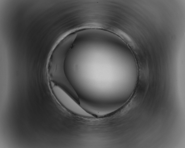X0000093121192200710031328